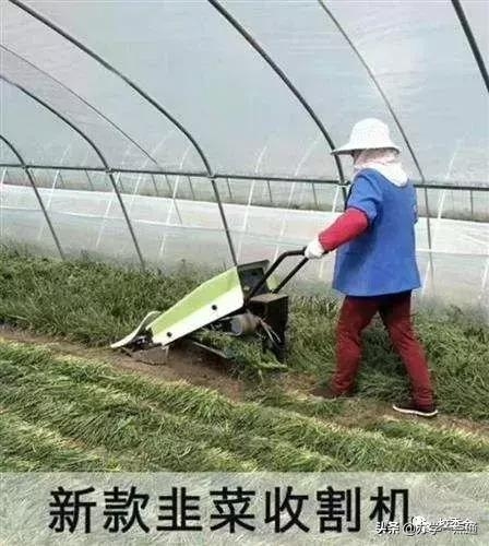 割韭菜式的屠殺招生法，正一步步把你的培訓機構拖到死亡深淵